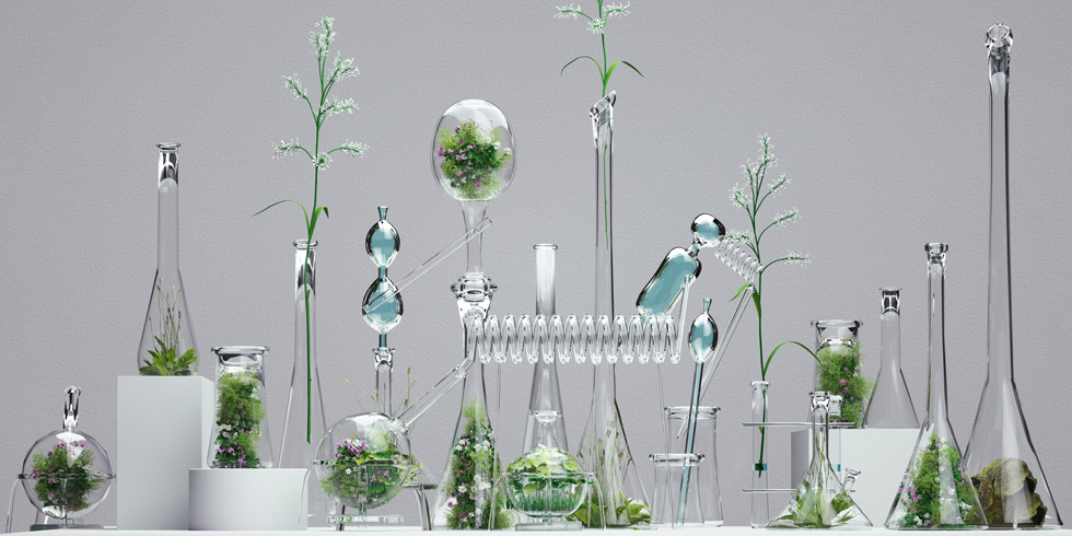 Pflanzen in Glas-Laborgefäßen die untereinander zu einem Kreislauf verbunden sind.