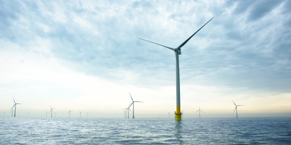 Energietransformation bei BASF: Ein Blick hinter die Kulissen