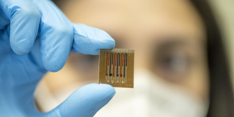 Antibiotika: Forschern gelingt mit kleinem Chip medizinischer Durchbruch