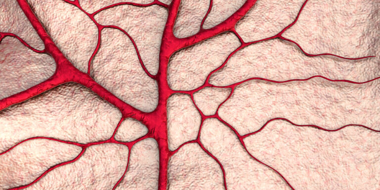 3D-Drucker produziert Knochen aus Biotinte