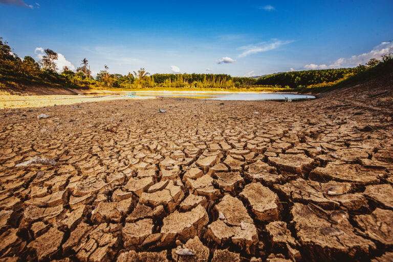 Datensatz zeigt Auswirkungen des Klimawandels im Detail