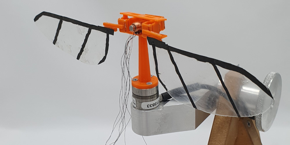 Prototyp Drohne