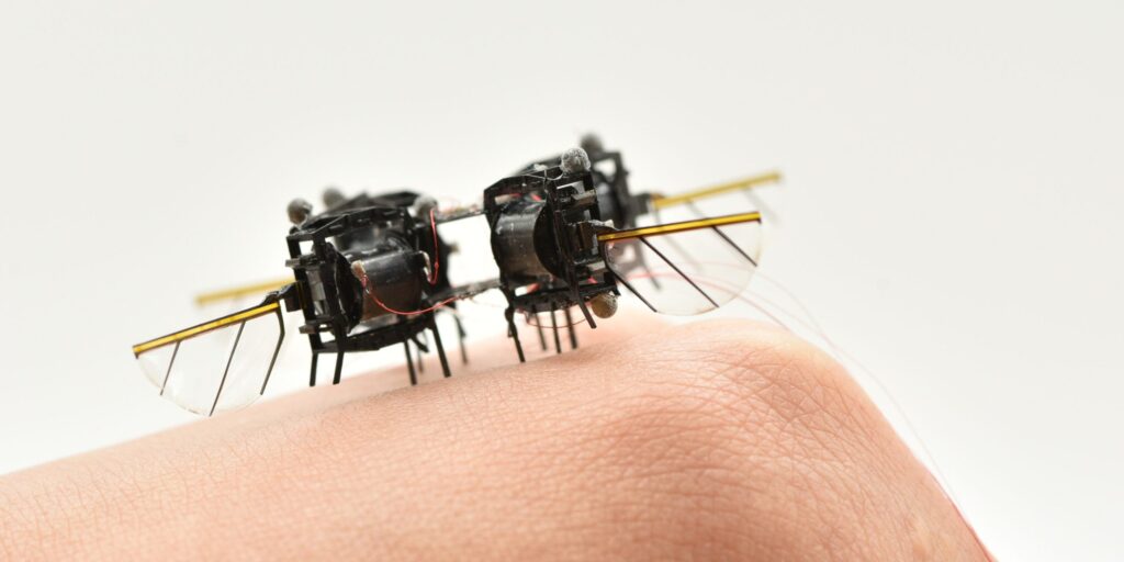 Schnell wie eine Hummel: MIT baut Insekten-Roboter