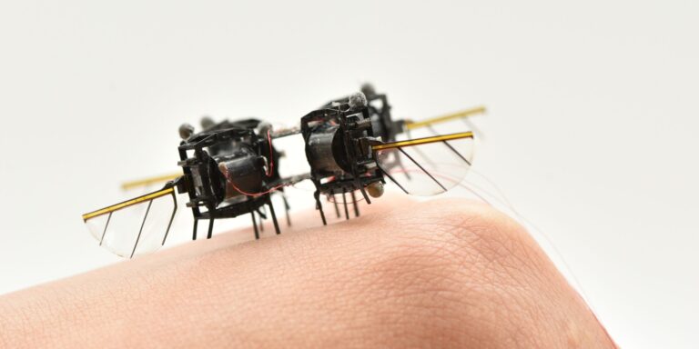 Schnell wie eine Hummel: MIT baut Insekten-Roboter