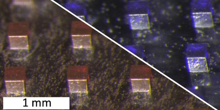 Implantat für kombinierte Krebsbehandlung