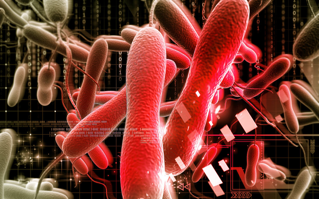 Quiz: Lepra, Pest und Cholera: Was wissen Sie über die Geißeln der Menschheit?