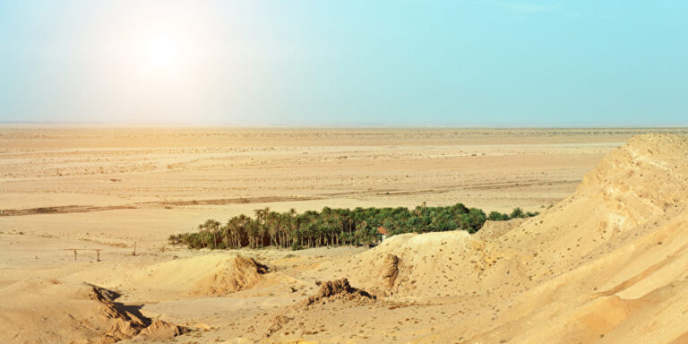 Kreisförmige Gärten in der Sahara: Der Grund überrascht