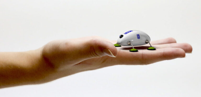 Miniroboter nach Vorbild der Kakerlake inspiziert Triebwerke
