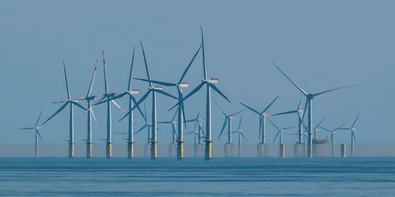 Offshore-Windparks: Turbulenzen mit ökologischem Einfluss