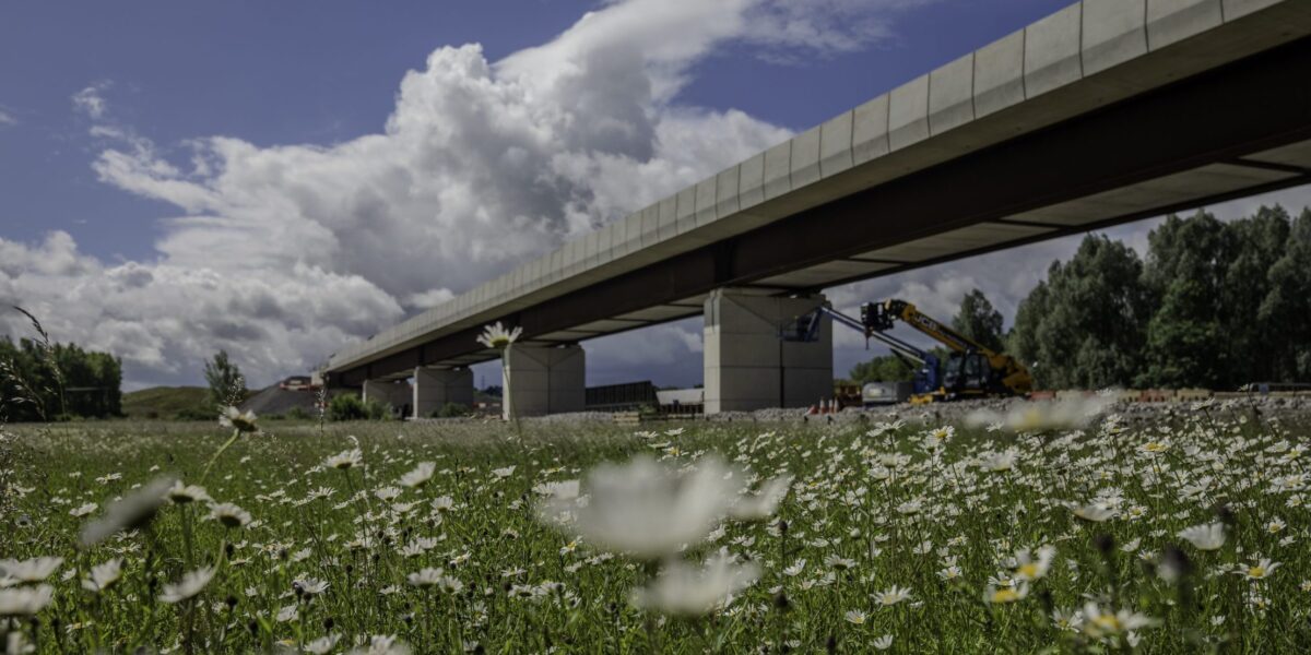 Westbury Viaduct der HS2-Strecke über einer Wildblumenwiese mit Betonpfeilern und Stahlträgern.