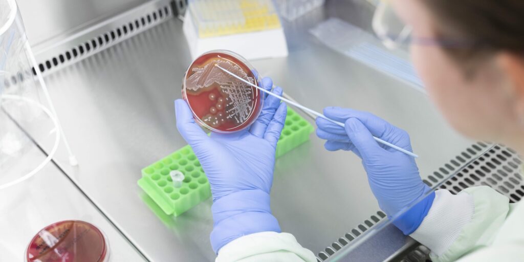Forschende am Leibniz-IPHT in Jena entwickeln eine Mikroarray-Plattform, die Antibiotikaresistenzen und Impfschutz mit nur einem Tropfen Blut nachweist.