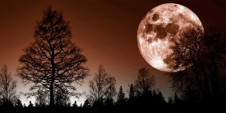 Was wäre die Erde ohne den Mond?