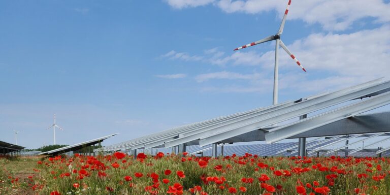Solar in Deutschland braucht schnellere Genehmigungen und Netzanschlüsse