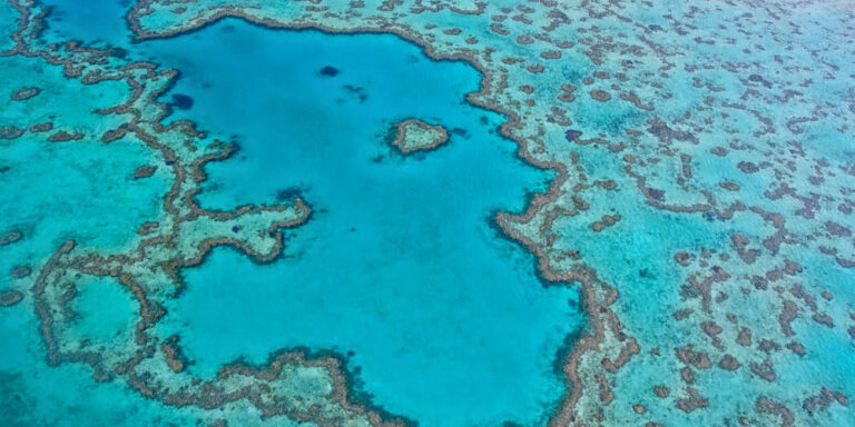 Great Barrier Reef vor Zerstörung: UNESCO erhöht Druck auf Australien
