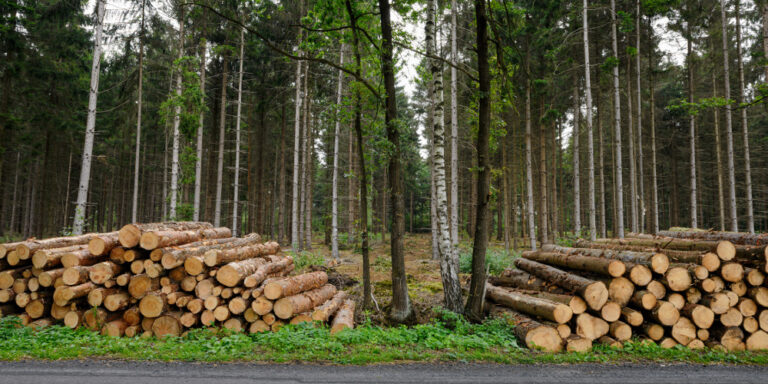 Neues Tool für Kommunen: So lässt sich beim Bauen CO2 einsparen