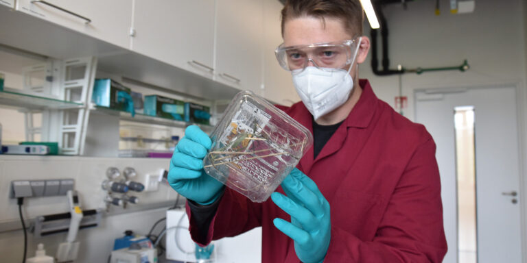 Was Ingenieure von Spinnen lernen: Peptide und Proteine als neue Therapeutika