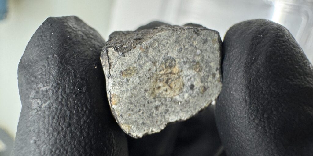 Ein Stück Asteroidengürtel landet in Österreich – und schreibt Geschichte