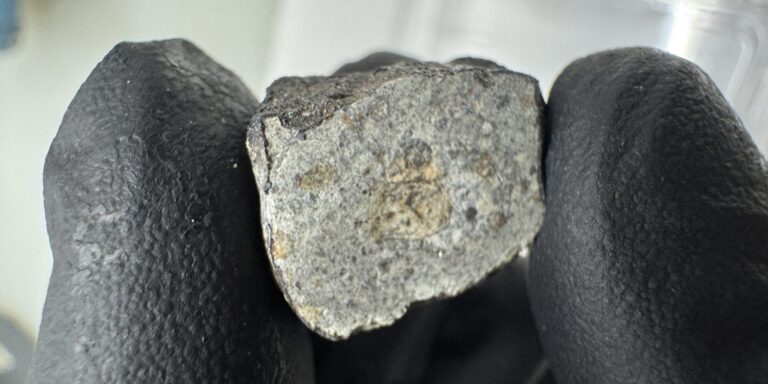 Ein Stück Asteroidengürtel landet in Österreich – und schreibt Geschichte