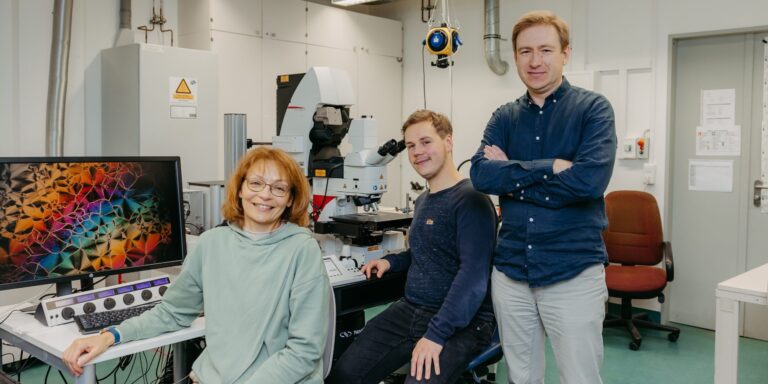 Neue Materialklasse bricht alte physikalische Grenzen