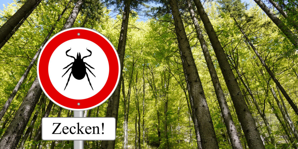 Zecken in den Alpen tragen neues Flavivirus