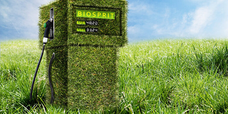 Streit um Biosprit: Agrarflächen für Ernährung oder Klimaschutz einsetzen?
