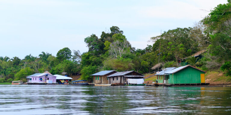 Illegaler Goldabbau bedroht den Amazonas-Regenwald