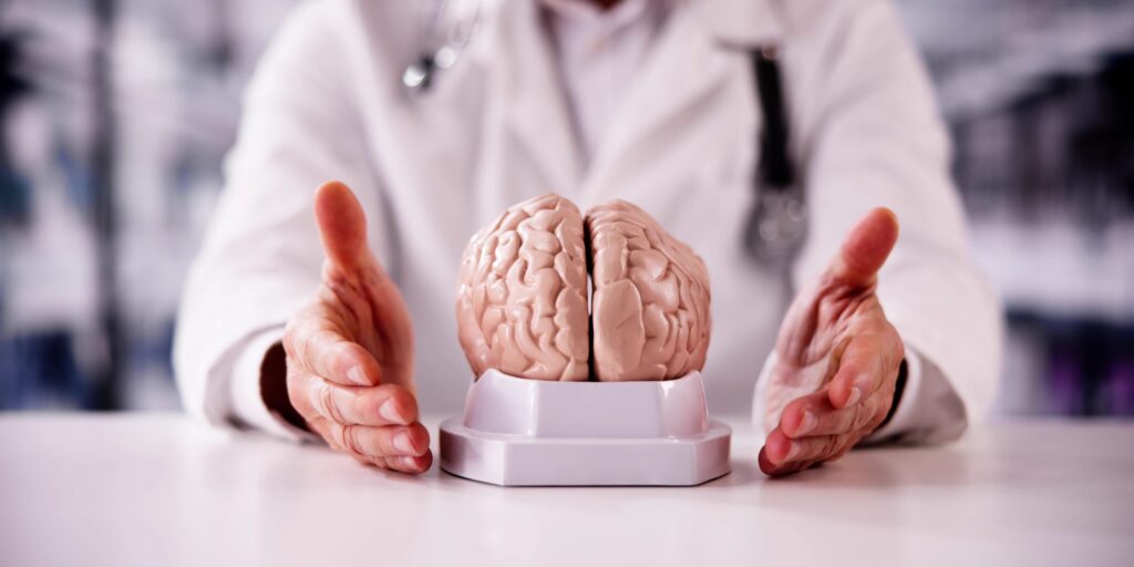 Forschende testen Alzheimer-Prozesse an lebendem Gewebe