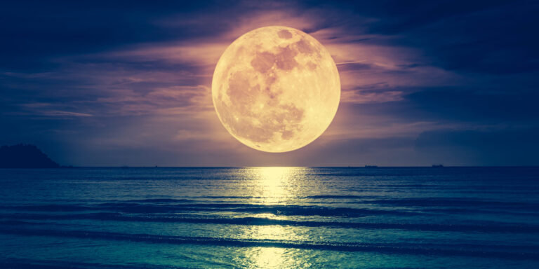 Der Supermond im November – größter Mond des Jahres 2025