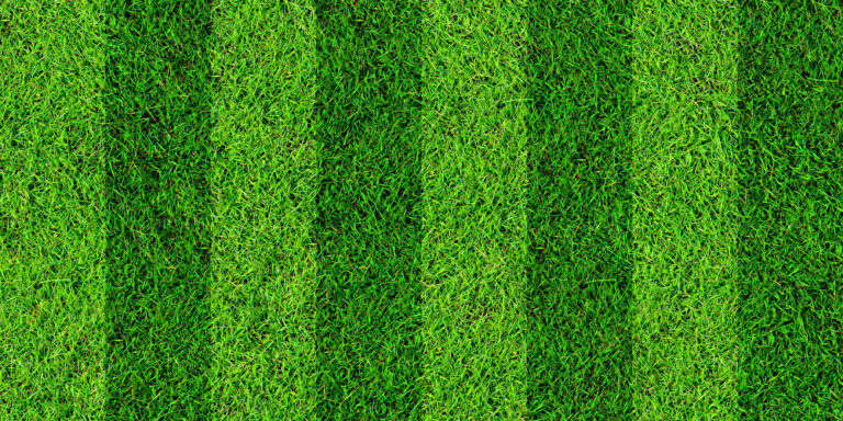 Warum Schalke eines der innovativsten Stadien der Welt ist