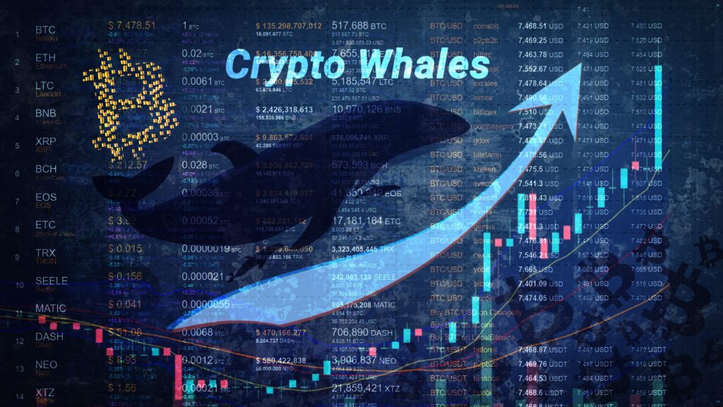 Krypto-Wale