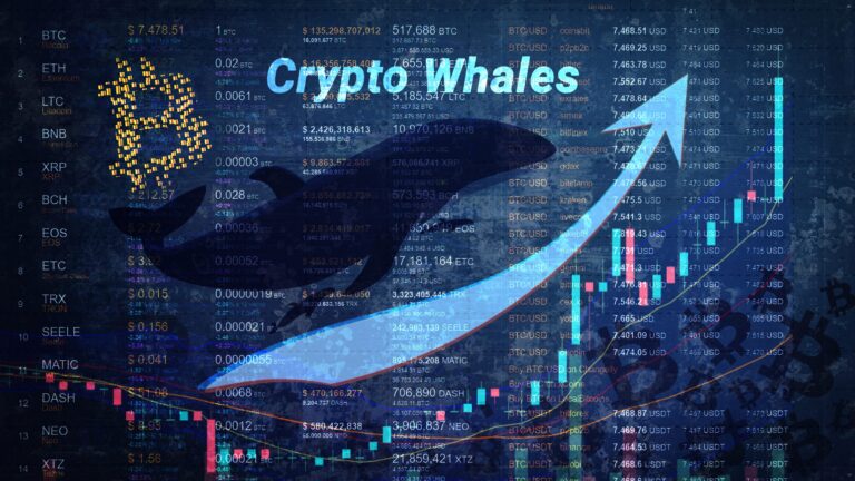 Bitcoin: Wale im Shopping-Rausch! Krypto-Forscher fassungslos: „Sie kaufen im Rekord-Tempo“! Prognose: Kommt der Sommer-Bullrun jetzt?