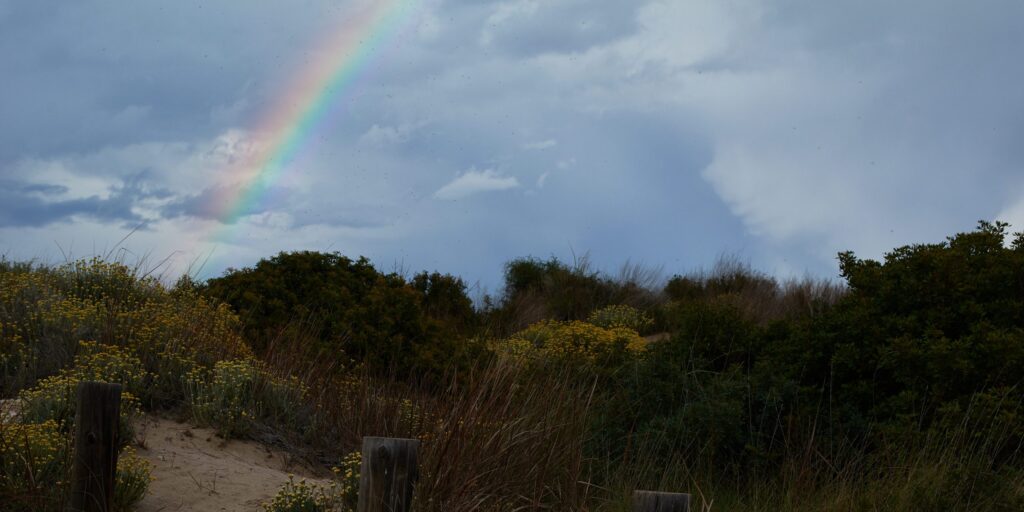 Regenbogen