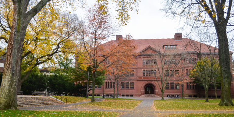 Fördergelder eingefroren: Wie sich Harvard gegen Trump wehrt