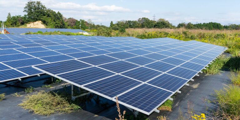 Atomkraft sprengt Kosten – Photovoltaik spart Geld