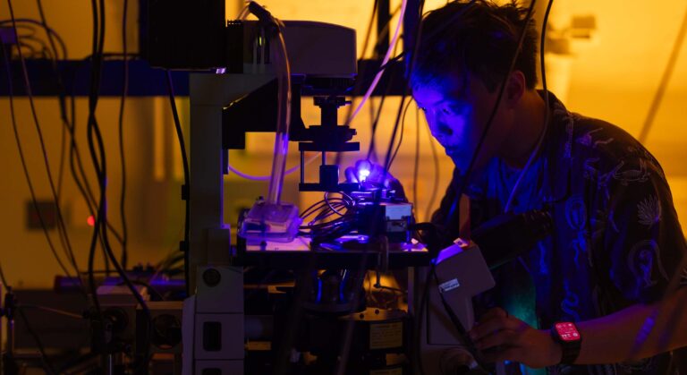 Haarfeine LEDs ersetzen Laser im Rechenzentrum