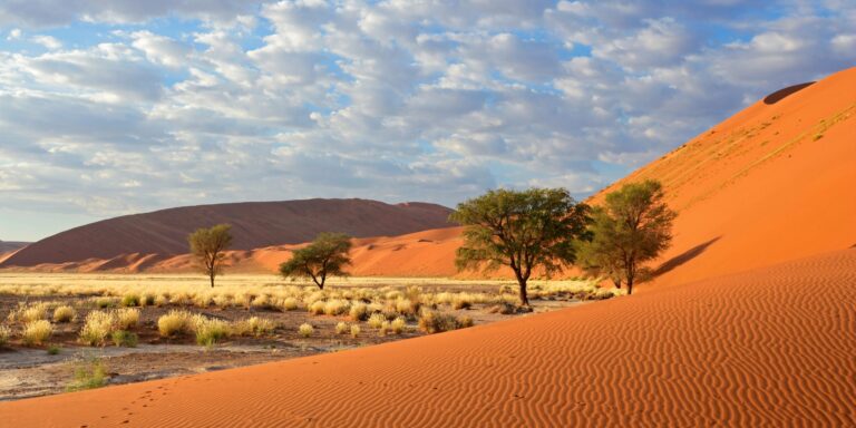 Wasserstoff aus der Wüste: Was Namibia wirklich liefern kann