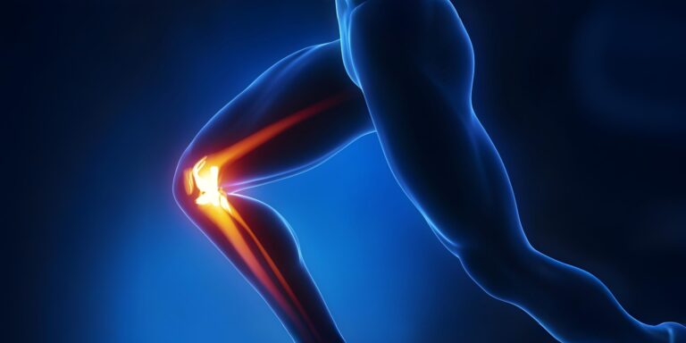 Roboter lernen Knie: Neue Methode konstruiert Gelenke nach Maß