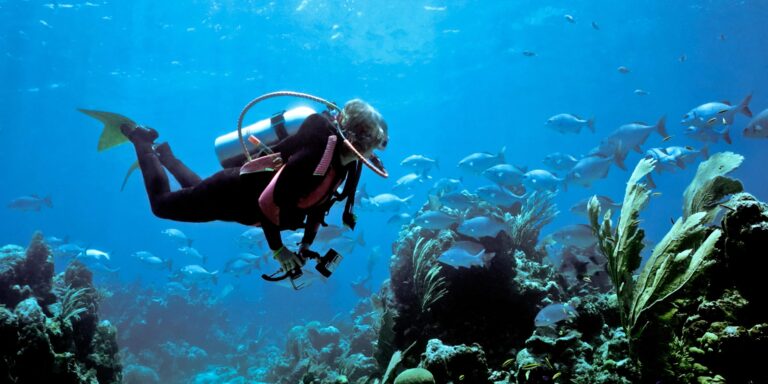 Unterwasser-Navigation neu gedacht: So geht es ohne Sonar