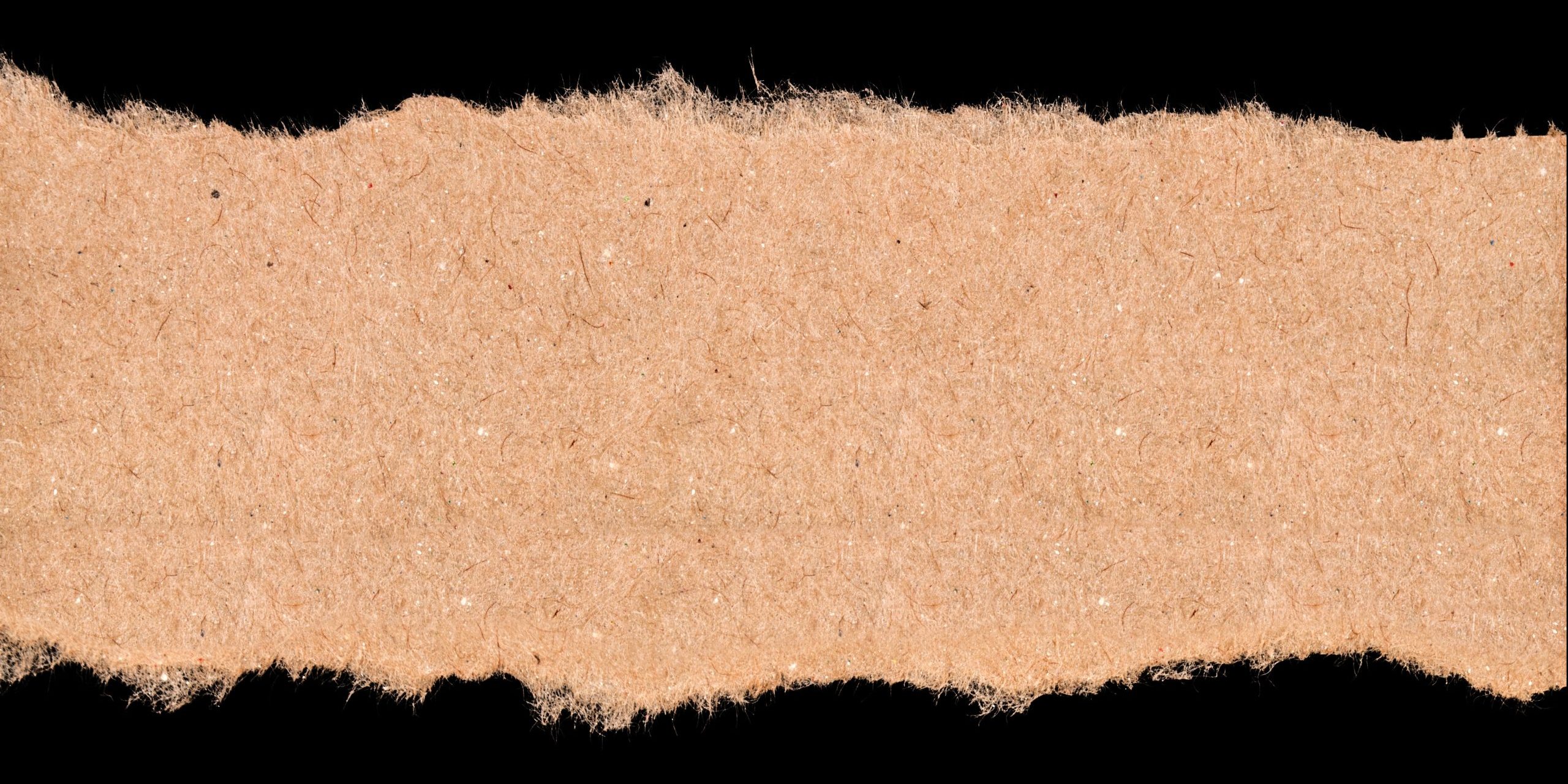 Fürs Dach entwickelt, fürs Recycling gedacht: Eine neue Dampfbremse aus Papier
